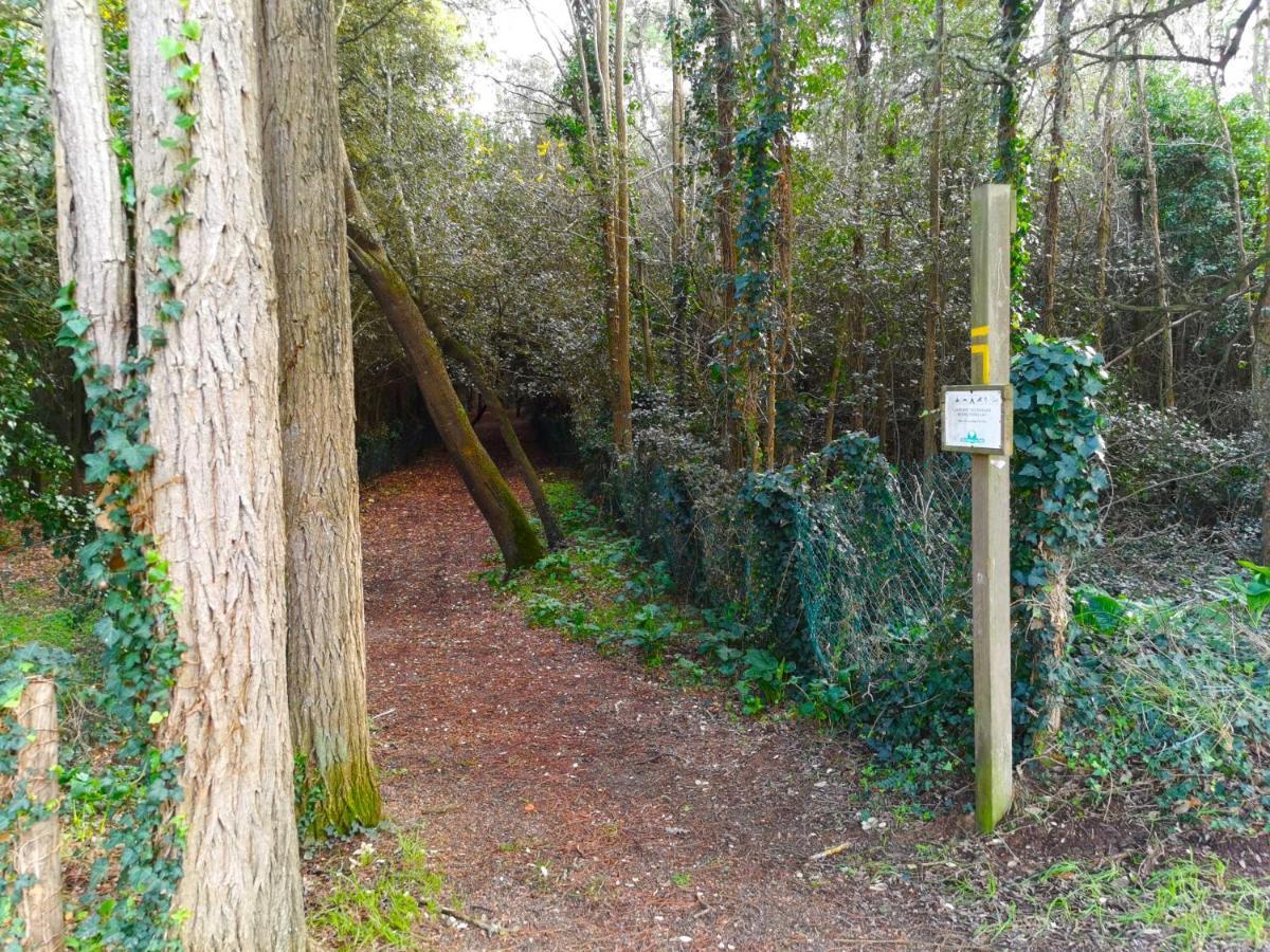 Le Pierani - A 90M De La Mer Saint-Hilaire-de-Talmont Bagian luar foto